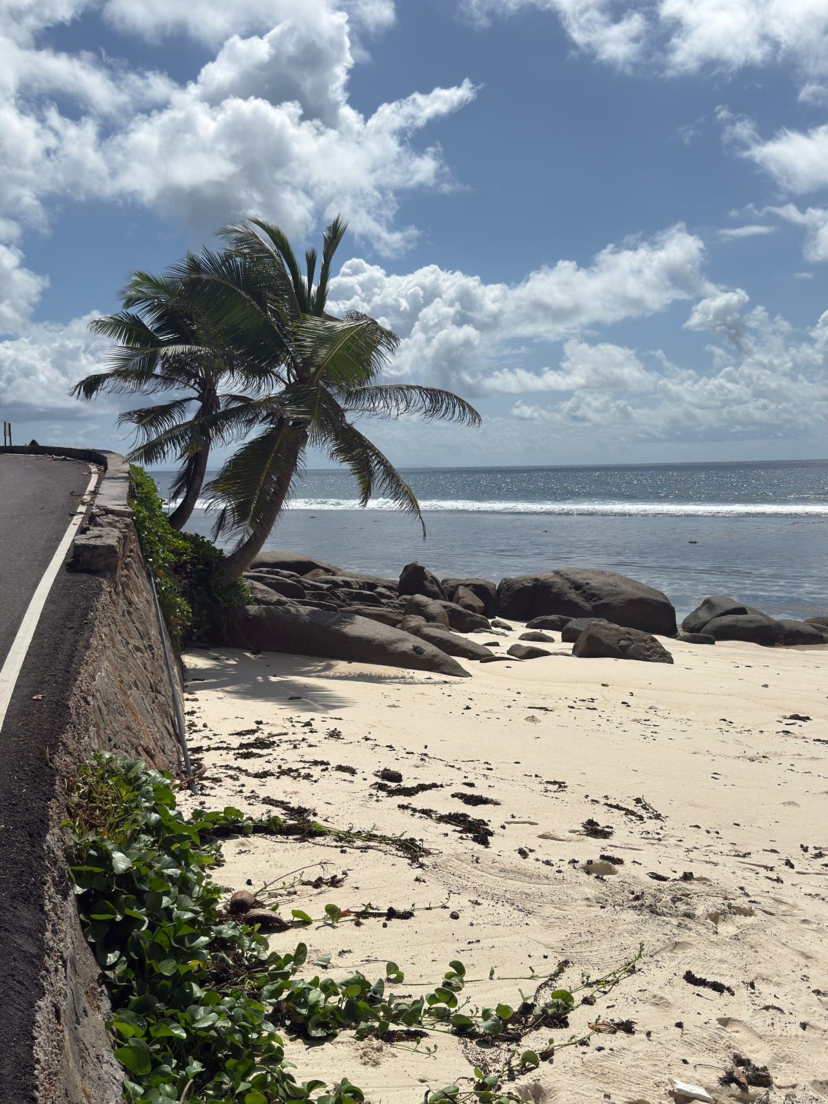 Amedee Island Tour