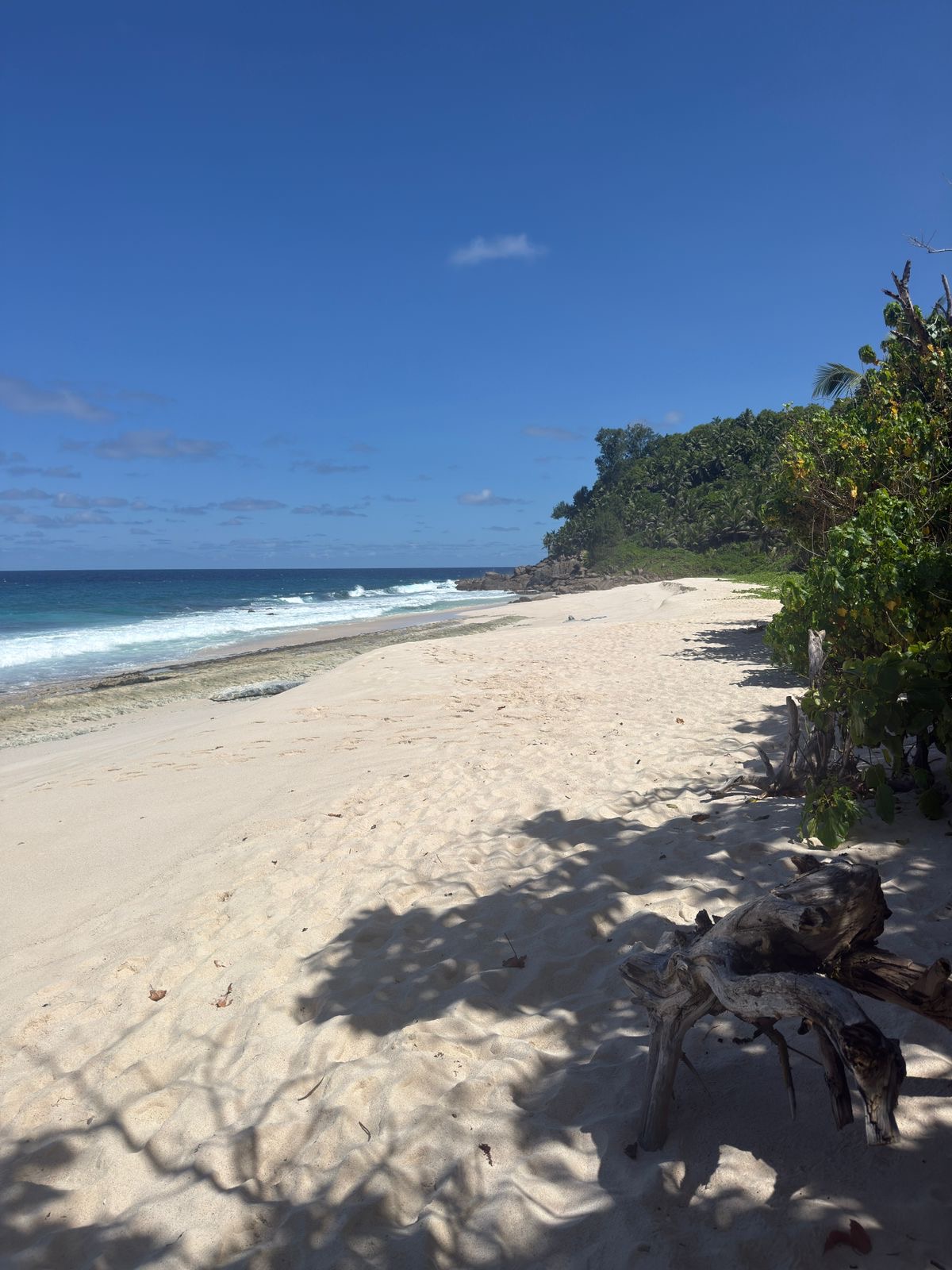 Amedee Island Tour