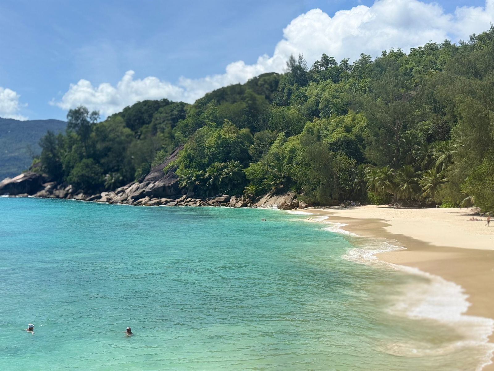 Amedee Island Tour