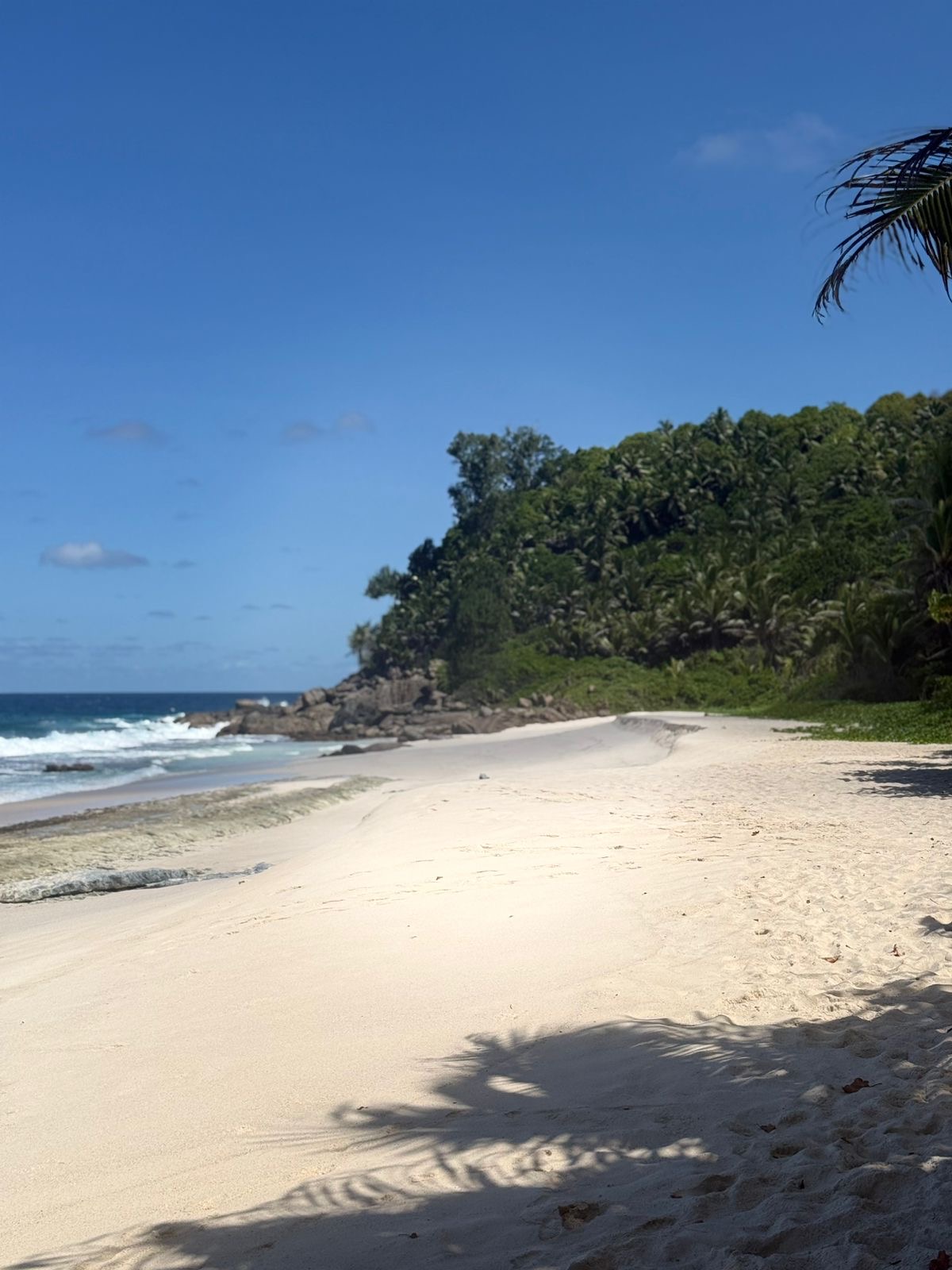 Amedee Island Tour