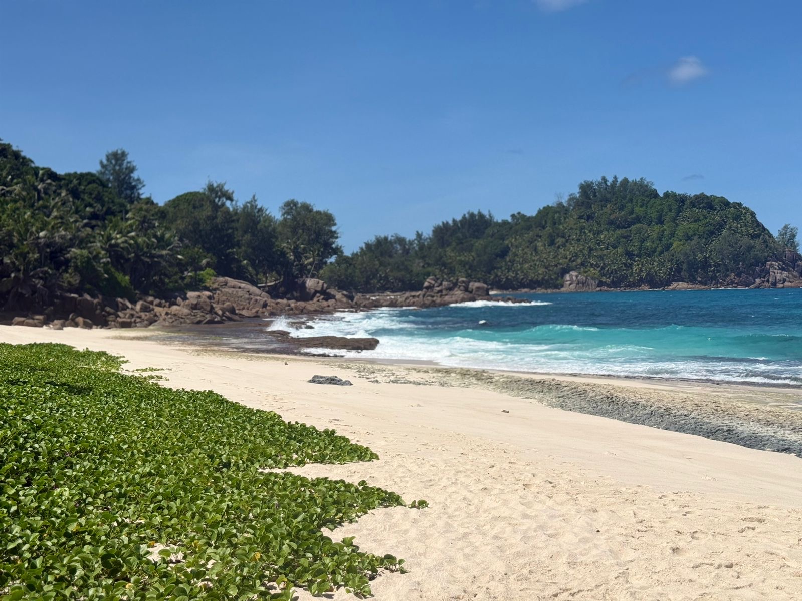 Amedee Island Tour