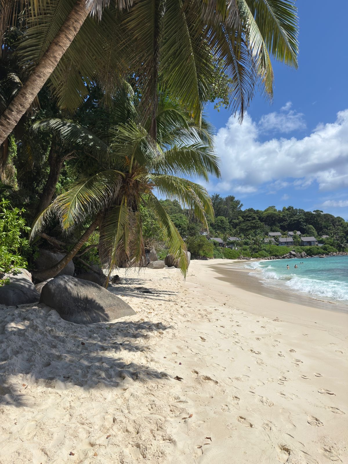 Amedee Island Tour